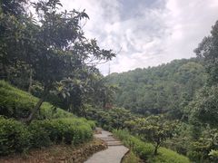 -九龙潭景区