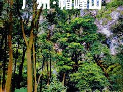 -广州市帽峰山景区