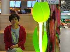 -阿姆斯特丹史基浦机场