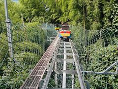 -藏龙百瀑风景区