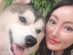 -Husky Go! 哈士奇体验馆·宠物咖啡厅狗咖
