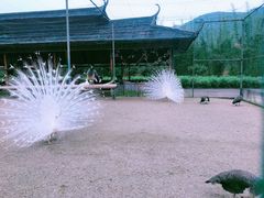 -韶关经律论国际酒店温泉