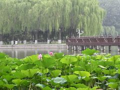 -中国农业博物馆