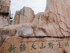 -新疆天山野生动物园