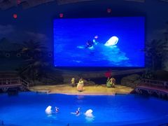 -海合安武汉极地海洋公园