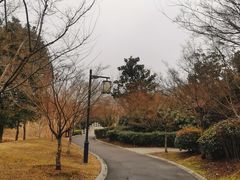 -无锡梅园公园