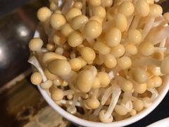 -大龙燚火锅(春熙店)