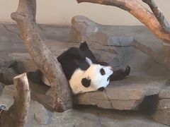 -宁波野生动物园