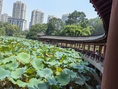 -龙头寺公园