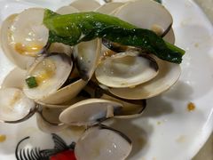 -顺德哥卜卜贝(旗舰店)