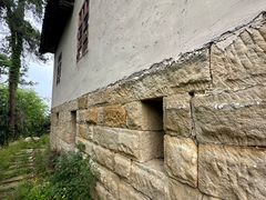 -南山植物园