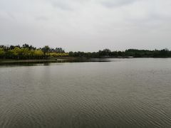 -东郊湿地公园