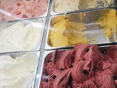 -Mint Gelato(二厂店)