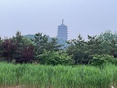 -永定河休闲森林公园