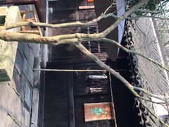 -法云安缦酒店