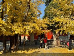 -承恩寺