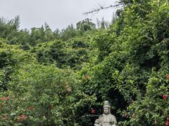 -东澳岛
