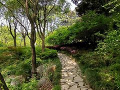 -宝界山林公园