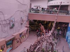 -陕西自然博物馆