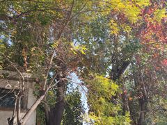 -天津五大道文化旅游区