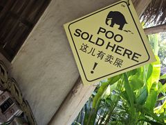 -大象粑粑造纸公园