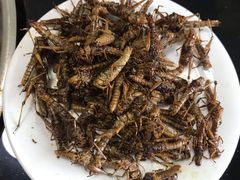 -铁锅炖灶台鱼老三炖鱼馆