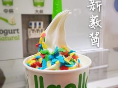 -Salud撒露欧洲冻酸奶(蓝色港湾店)