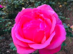 -长辛店二七公园