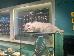 -邵老师打金·黄金加工(大望路总店)