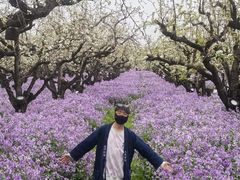 -江苏三台山国家森林公园