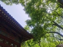 -华清宫景区