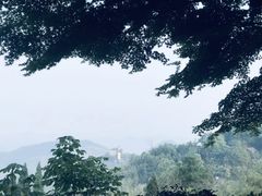 -莫干山风景区