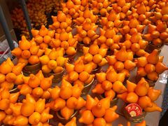 -越秀西湖花市(广州城市广场花卉店)