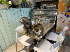 -小时光咖啡馆(北锣鼓巷店)