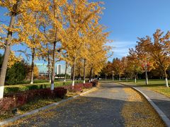 -北京园博大酒店