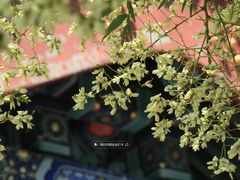 -北坞公园