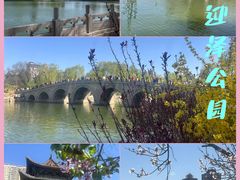 -迎泽公园