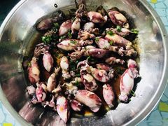 -洞背山庄(洞背院区式管理小区店)