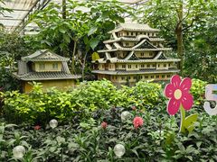 -南宫五洲植物乐园