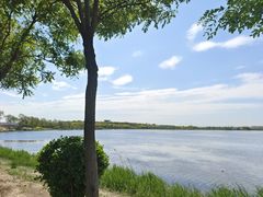 -天津东丽湖风景区