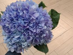 -庆蓉云·庆云面(双林店)