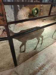 -酷嗒动物文化乐园(cutezoo西溪乐天城店)