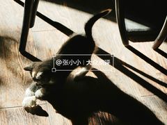 -古耳咖啡(北锣店)