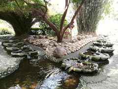 -成都市活水公园