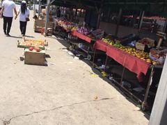 -韩家墅海吉星农产品批发市场