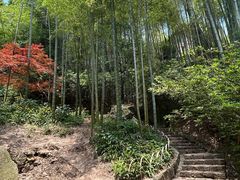 -莫干山风景区