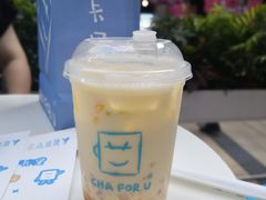 -CHAFORU星卡里(长江二路店)