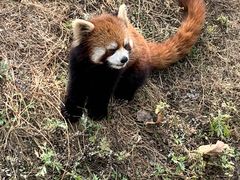 -宁波野生动物园