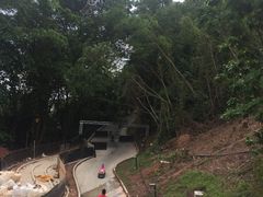 -圣淘沙天际线斜坡滑车