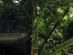 -缙云山景区
